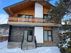 Luxury villa Bakuriani